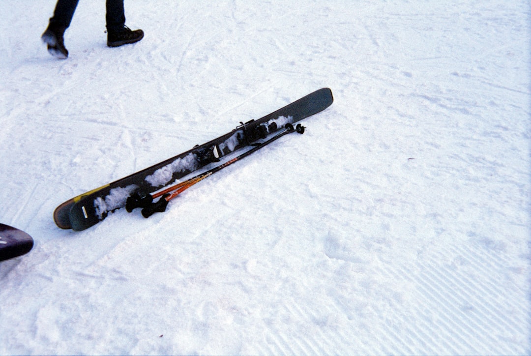 blog_3